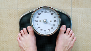 Collagen weight gain scale